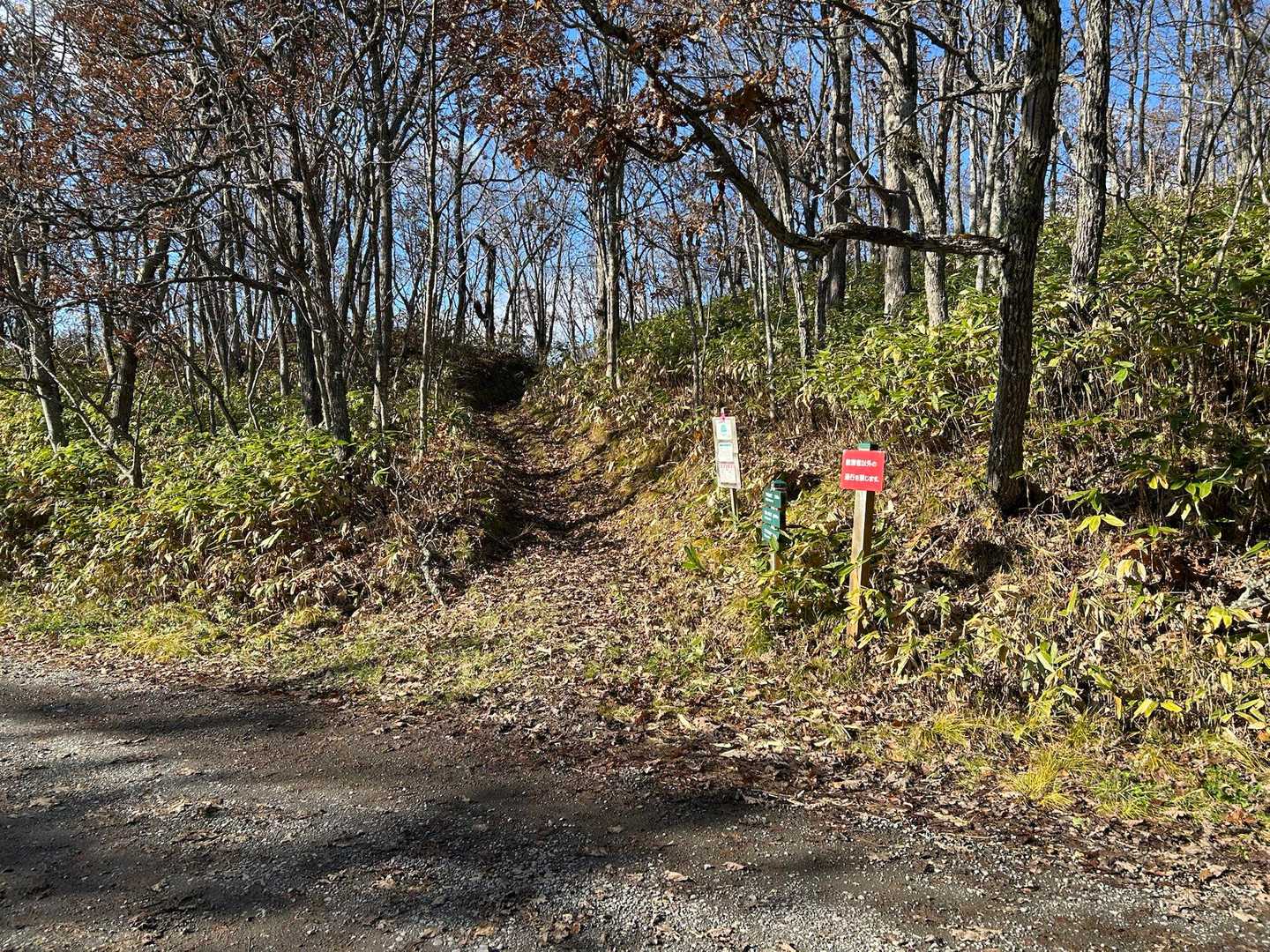 今日はリハビリ兼ねて半面山まで歩くよ🚶‍♀️