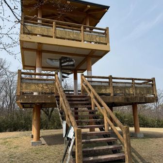 さくら山展望台、展望はない。