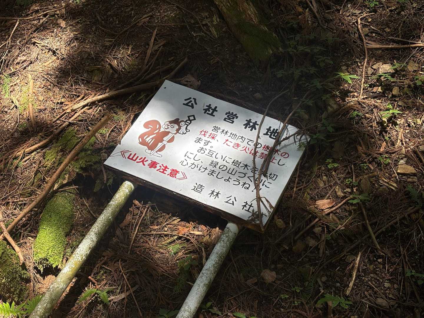 このリスちゃん笑ってる？😄