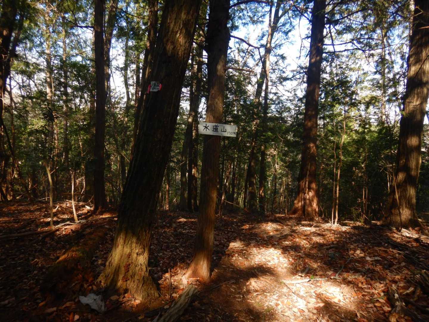 天覧山-多峯主山 周回コースの写真