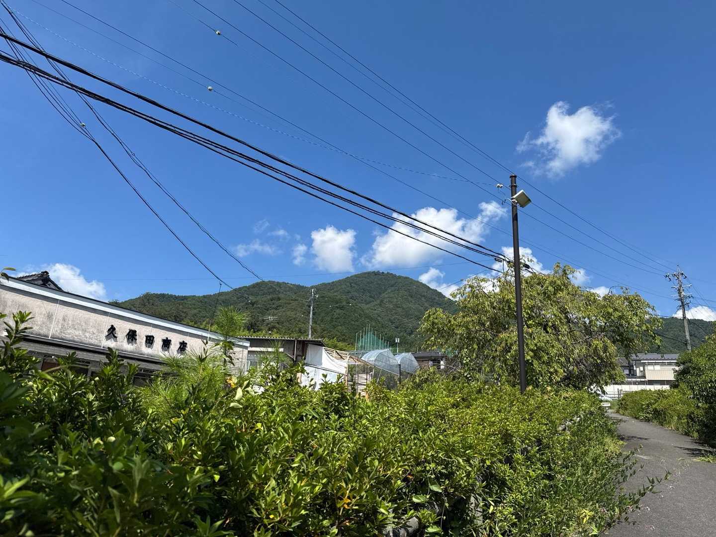 おじゃまさん