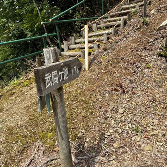 魚見峠登山口