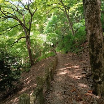 ここまで降りて来ると、箕面大滝の音が聞こえて来ます