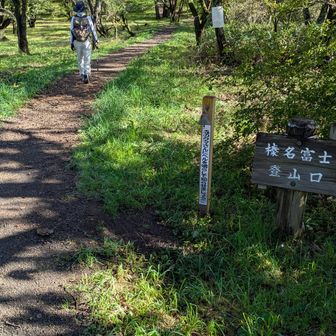 こちらが無料コース