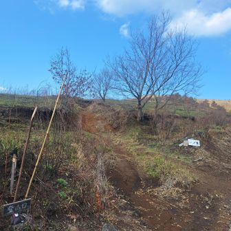 かなり遅い出発😅