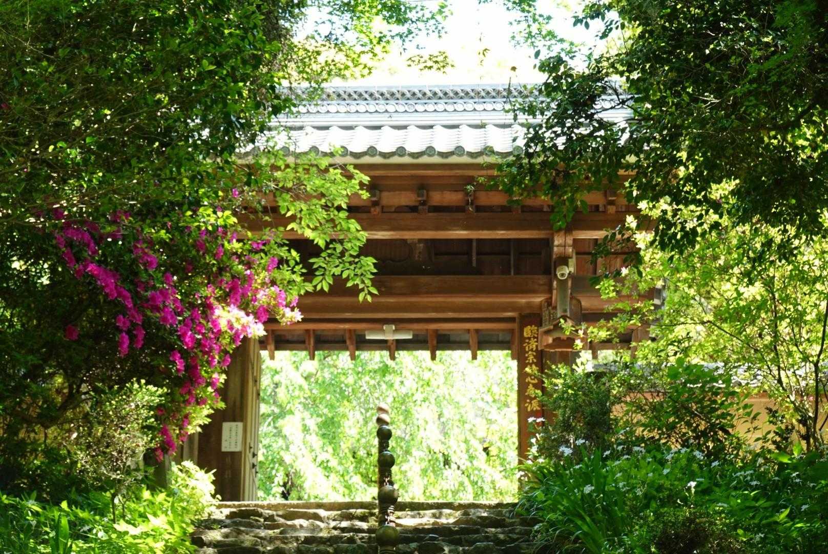高根山-山星山 周回コースの写真