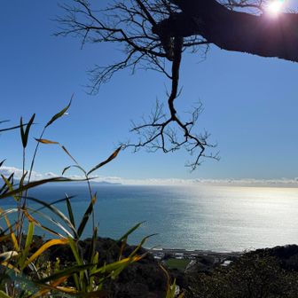有度山山頂から駿河湾を望む