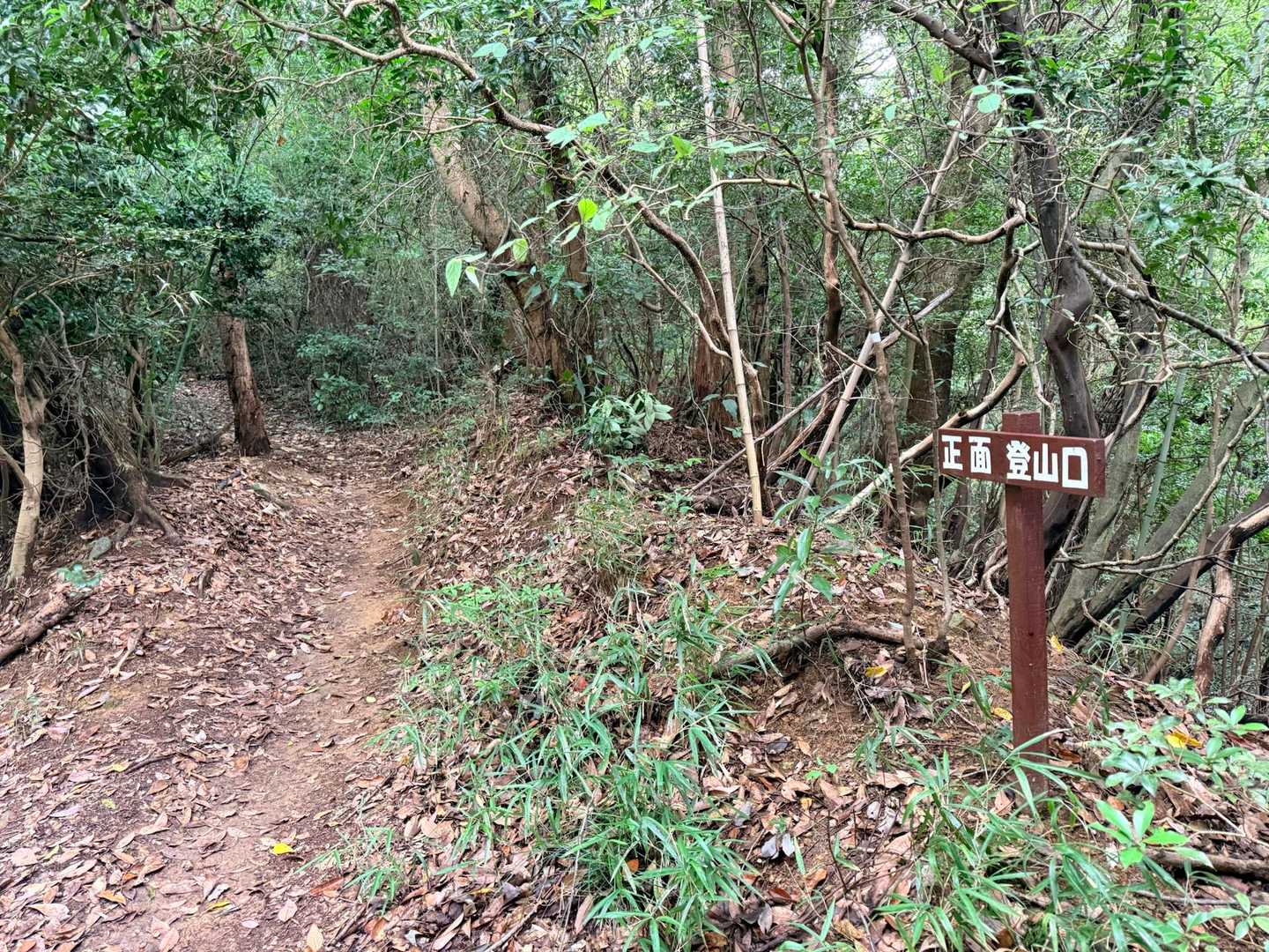 ココから登山道！
