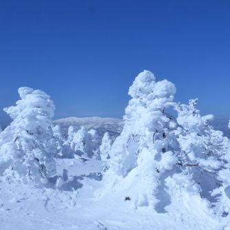 ひとやまたろう