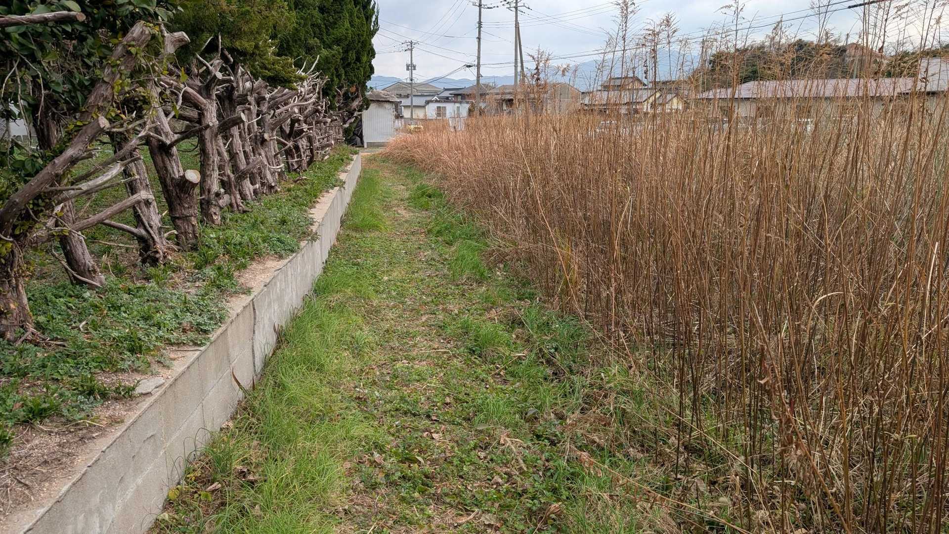 甲山 往復コースの写真