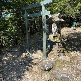 気を取り直して