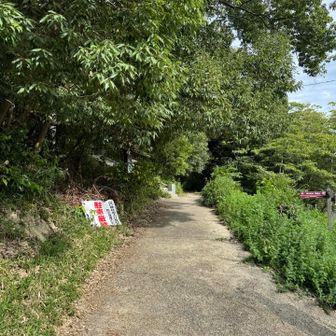あっという間の