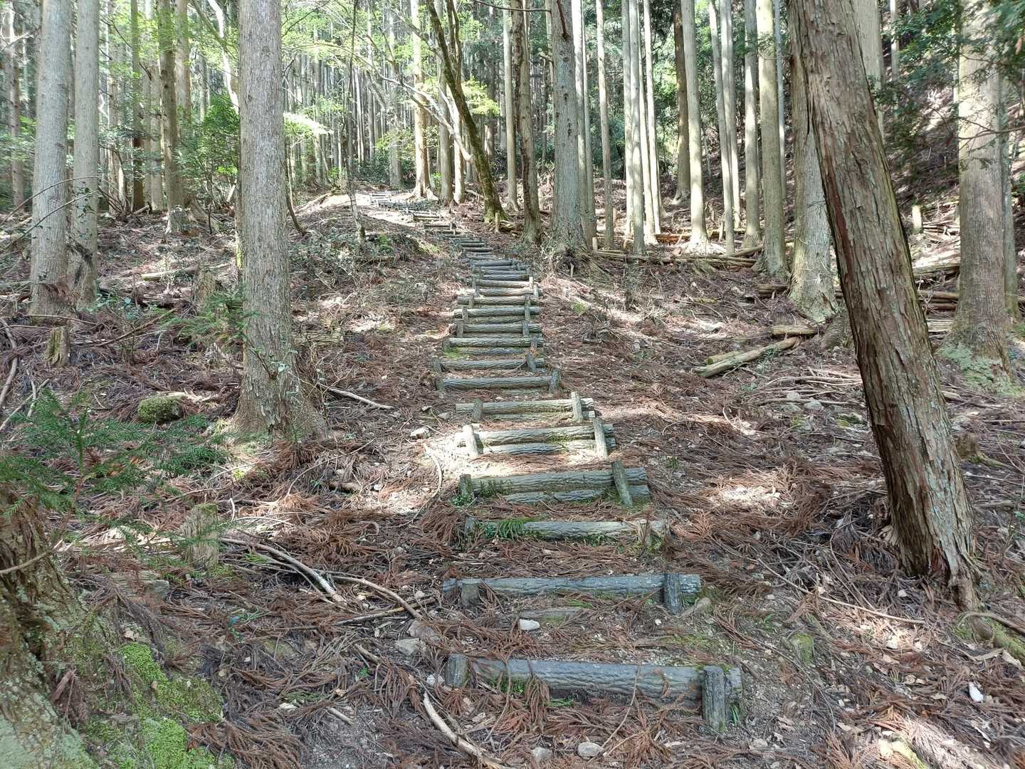 階段はまあまあ急です