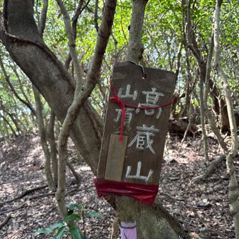 高蔵山登頂
眺望なし