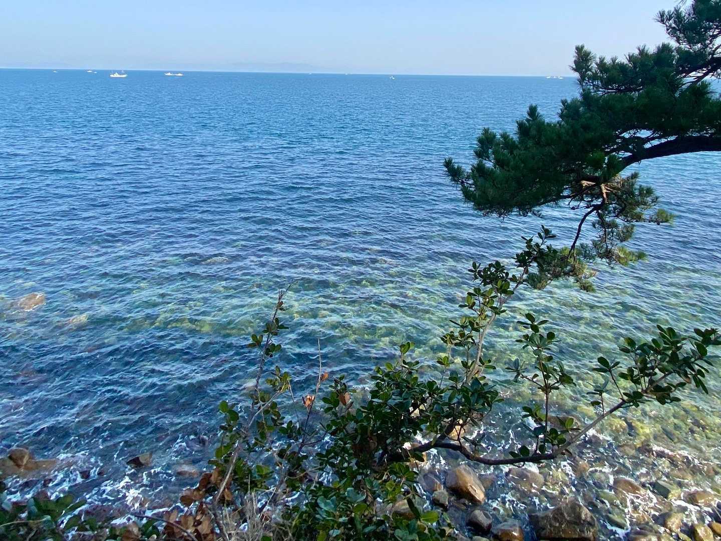 海が綺麗✨