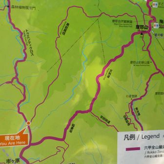 三ノ宮から新神戸向きの歩道、学生風の人々が大勢いた。加納町の陸橋登る人が多かったので、予備校のイベントでもあったのかな。布引周辺も人多かった。ほとんどは滝見物。見てないが水が少なくてがっかりしたやろ。ともあれここは黒岩尾根の下。