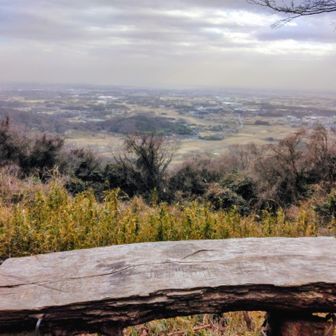 土埃で霞ヶ浦が見えず！