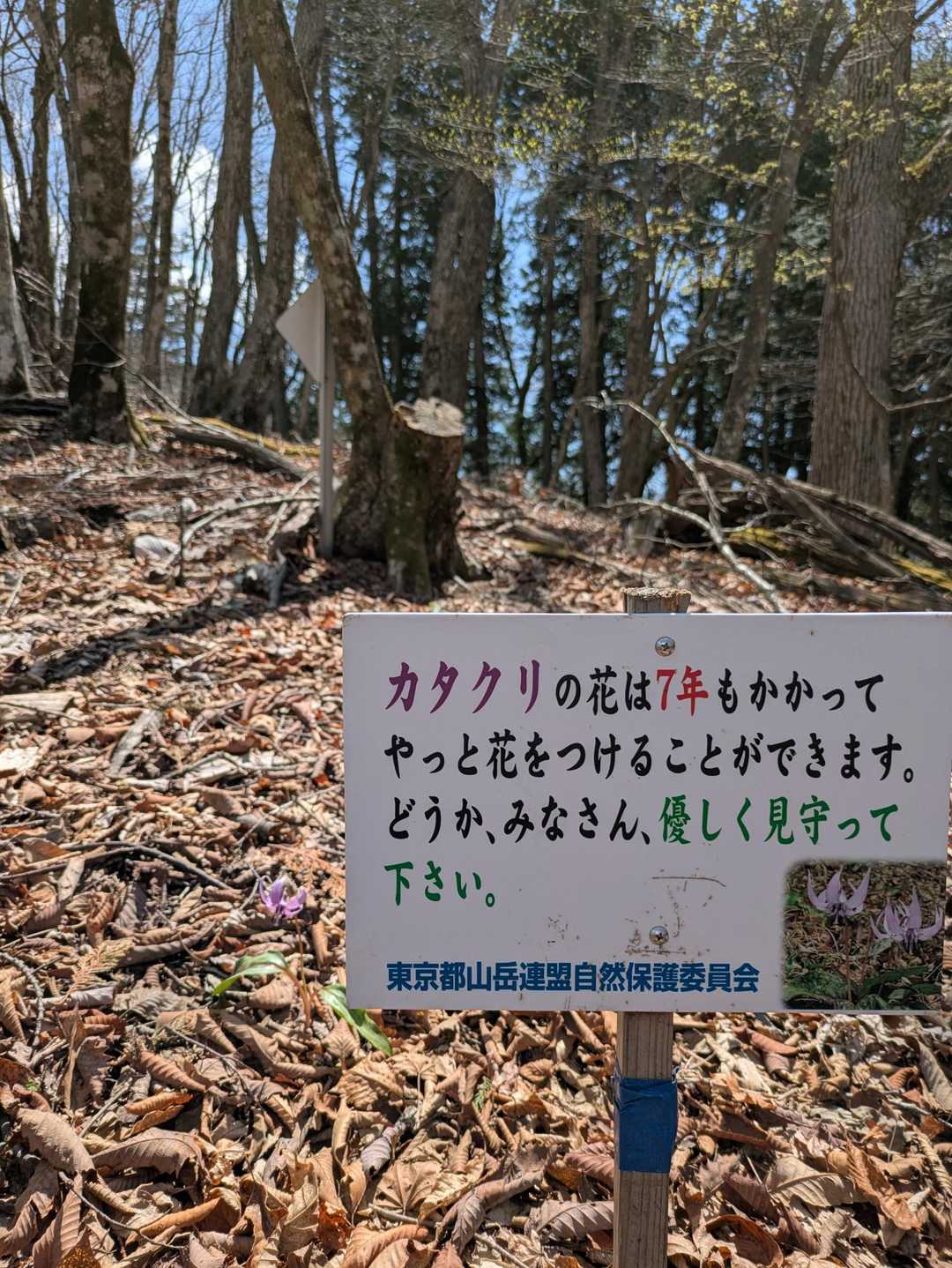 カタクリのお花に
見守られながら