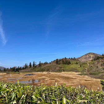 高谷池と火打山