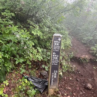 雨避けで新道を行く。