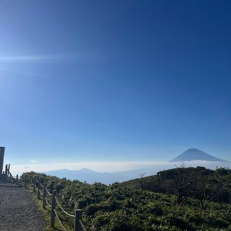 山頂駅付近まで戻りました🚡
富士山をフレームに入れて写真を撮るスポットがありました📸
今日は天気がいいので写真も映えそうです。