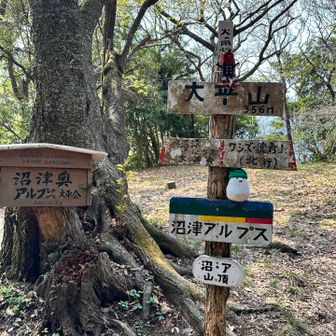 あっという間に大平山登頂！