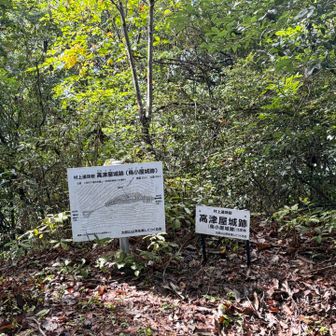 高津屋城跡
曲輪がはっきり残っています