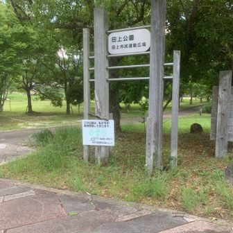 ただいま〜