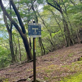 小休憩の後、雲母峰へ向かいます。