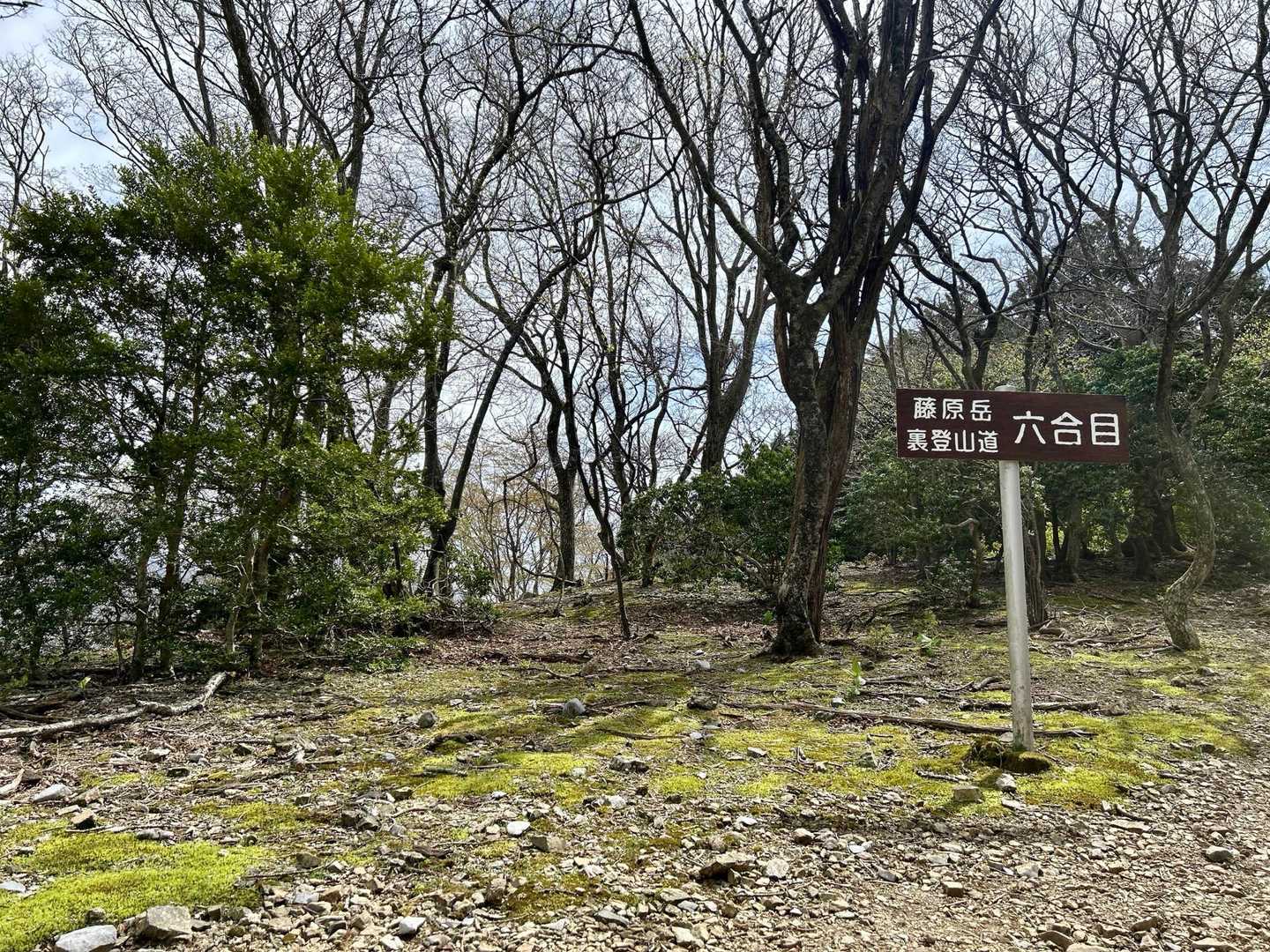 帰りは比較的静かな裏道から。
この手前でスライドした方から、６合目あたりでカタクリ咲いてますよと教えていただきました。写真撮り忘れましたが…