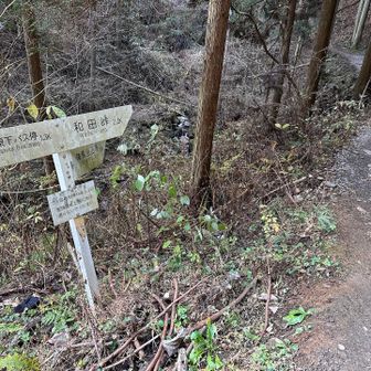 ここから登山道
ガッツリ脱いで...