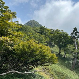 少しガスが切れて大普賢岳が見えました