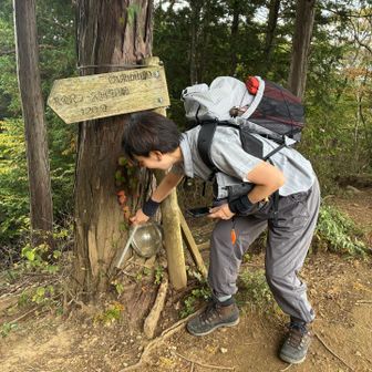 山頂ベンチの後ろに熊避けボールが叩いてもらいます😄