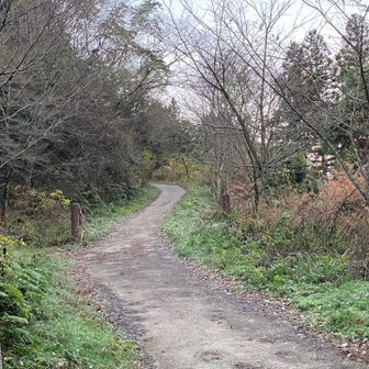 水越峠からダイトレへ