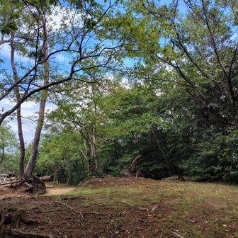 行きで通り過ぎた御止山山頂
多分ここかなぁ？
山名板はありませんでした。