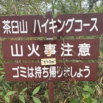水道山270m しかわかんないですが