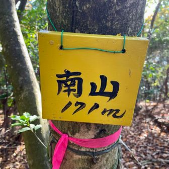 南山登頂⛰️