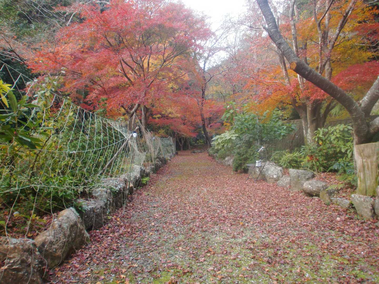 後で調べたら「蛍楓苑」という立派な庭園でした
なんと、以前に「ポツンと一軒家」で紹介された場所でした😄