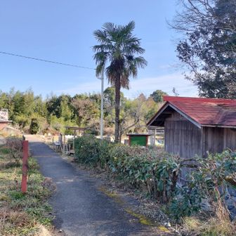 赤い屋根を右折です
