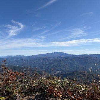 月山‼️