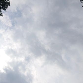 山頂からの景色