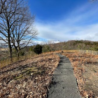 駐車場からこの歩道でピークでした