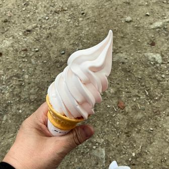 やっぱり食べてしまうよね〜(知らんけど😛)

ヨーグルト白桃風味アイス🍑🍦
600円💸

美味しかった😋