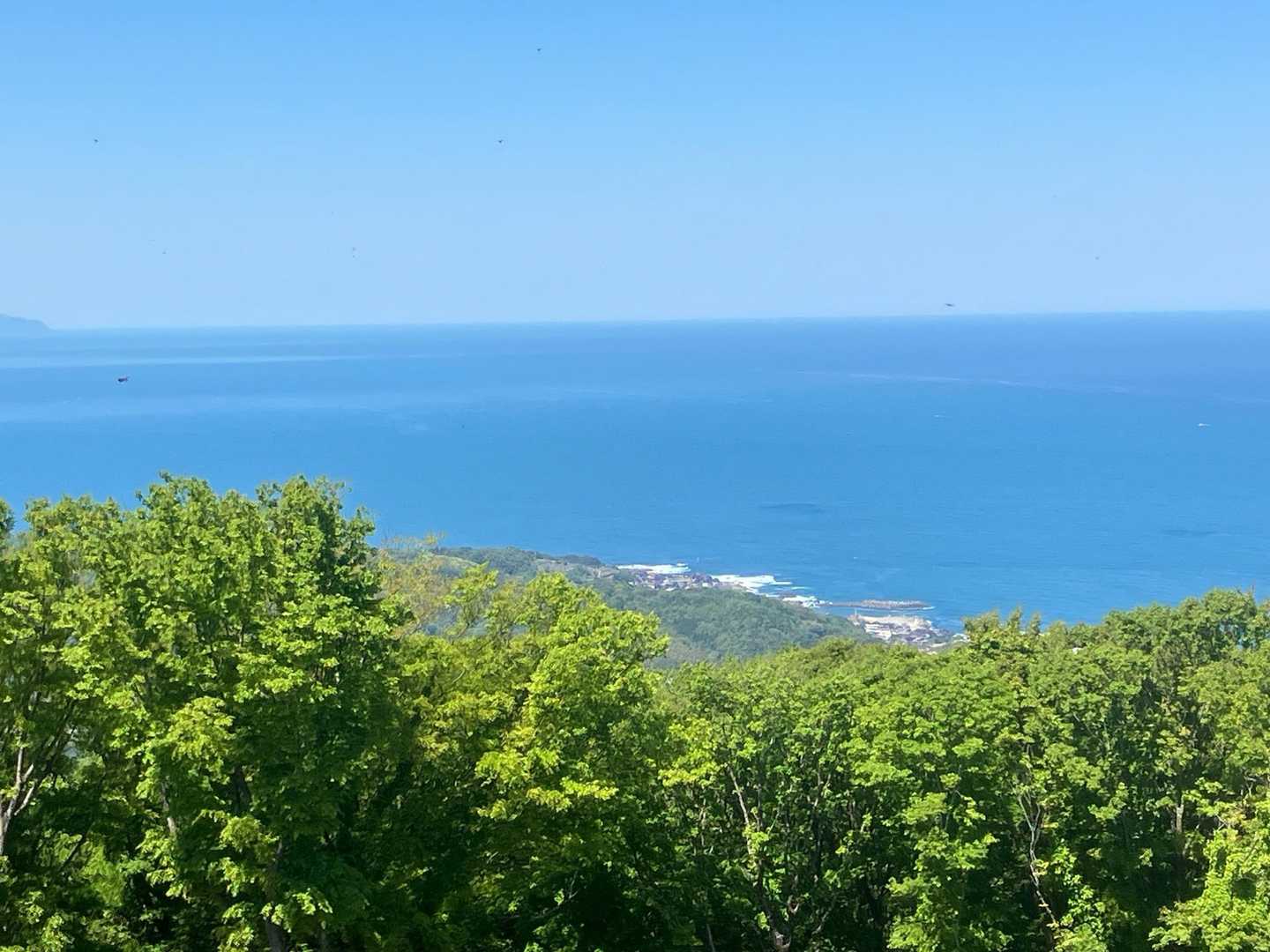 依遅ヶ尾山往復 | 歩きやすい登山道の先に広がる、日本海を望む関西百名山最北端の写真