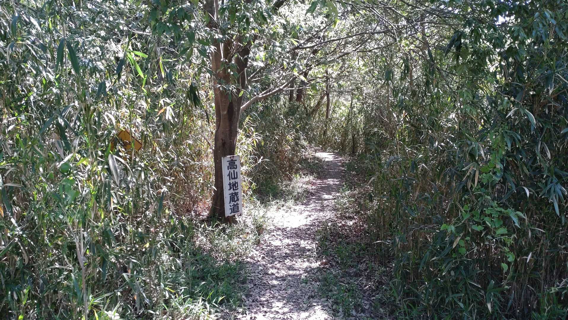 浅利富士登山道入口-ばあさん井戸-室神山 往復コースの写真