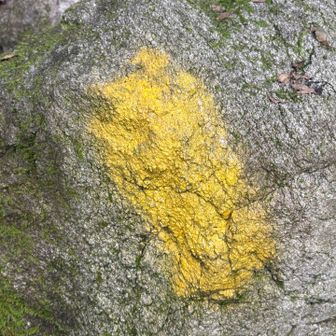 全体的に目印は少なめの登山道