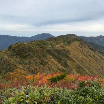 次に目指すのはサワガニ山

