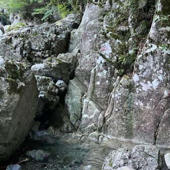 ここも沢の岩が動いて水流が変わったのか、最近はいつも水が流れてます。
