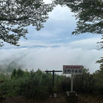 凄い😅まだまだ雲海が💦
山並みも頭しか見えません💦