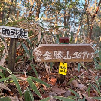 綿はるさん♪ ありがとうございます😊 